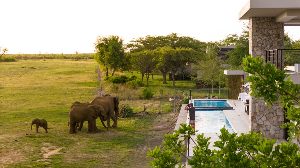 Ultra Luxury Lodges lodges in Madikwe Game Reserve